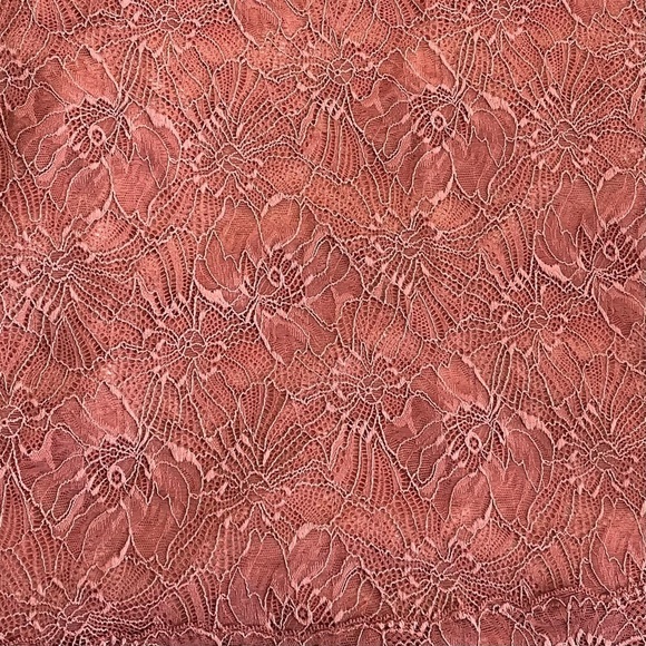 Victoria’s Secret Rose Pink Sheer Lace Dress Babydoll Chemise Sexy Mesh Large - Picture 10 of 11